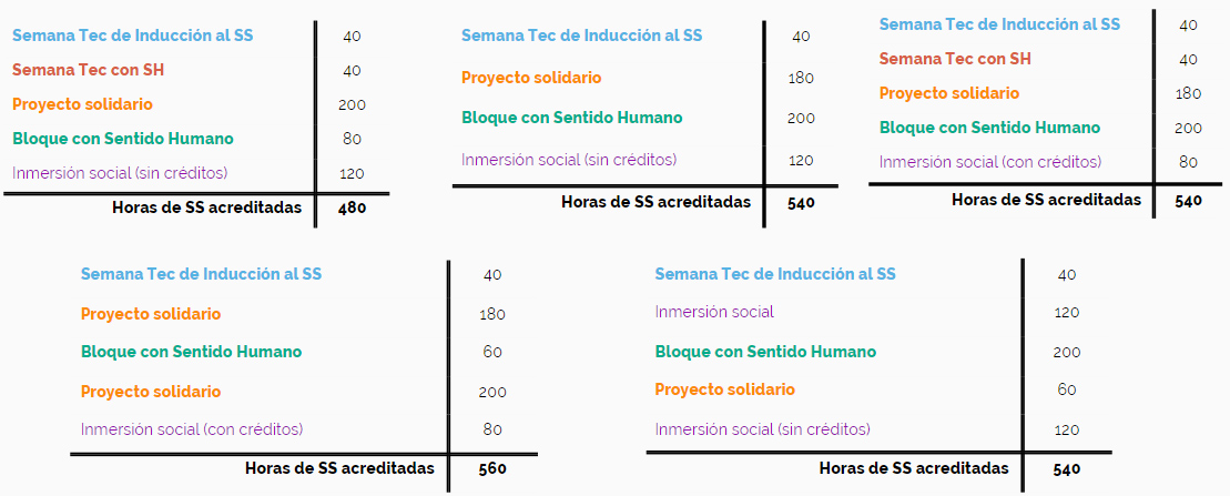 El Servicio Social es flexible en cuanto a sus experiencias y horas en las que el estudiante desee participar