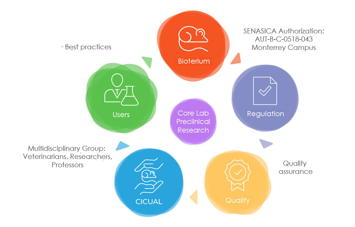 Estructura funcional UIP