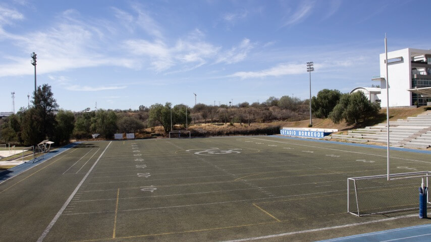 Estadio Borrego