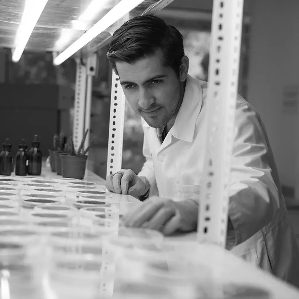 Estudiante de Ingeniería en Desarrollo Sustentable del Tecnológico de Monterrey