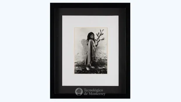 Angelito mexicano, Graciela Iturbide, 1984