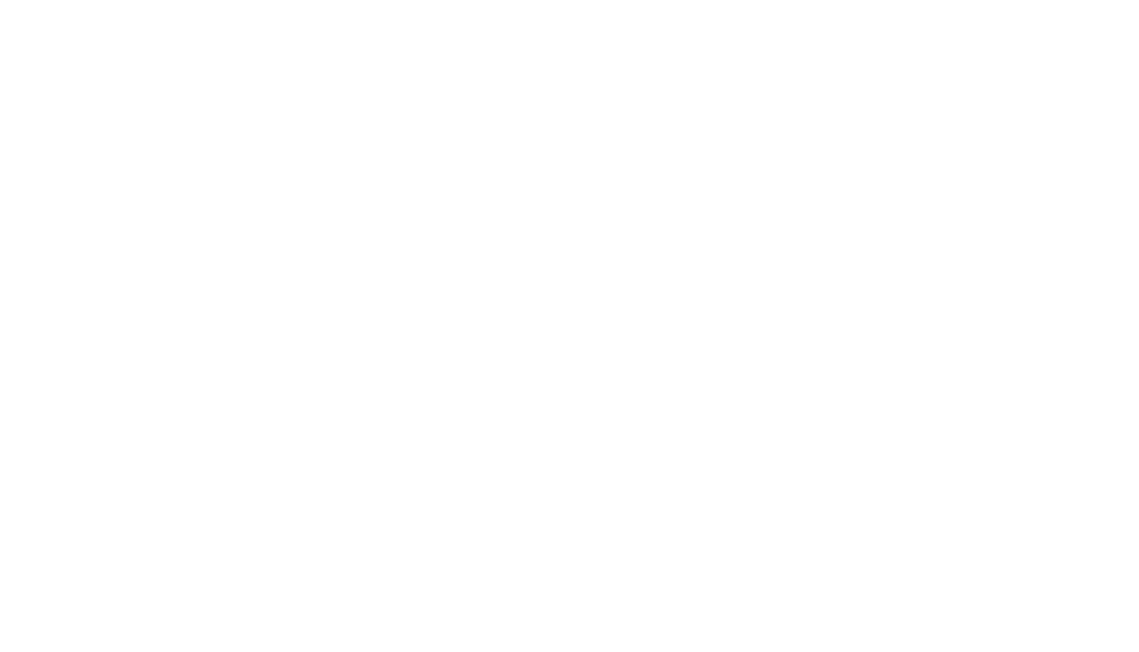 INTELLIGENCE
