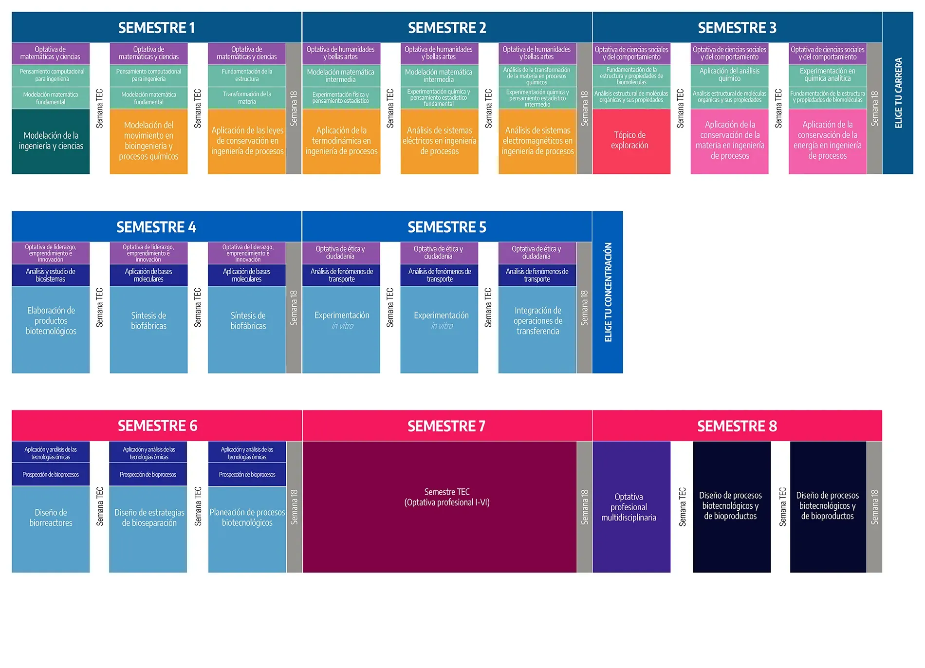 Plan de estudios Ingeniería en Biotecnología