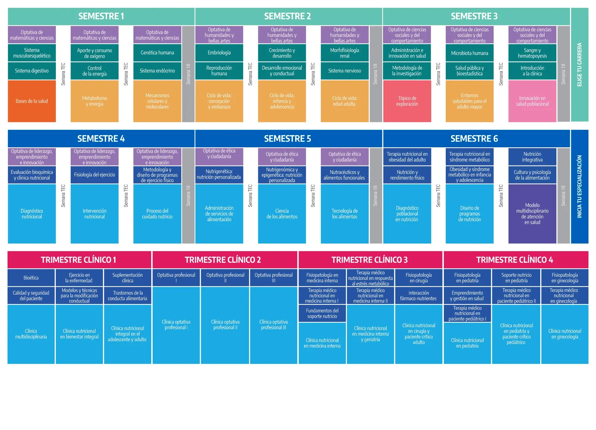 Plan de estudios Licenciatura en Nutrición