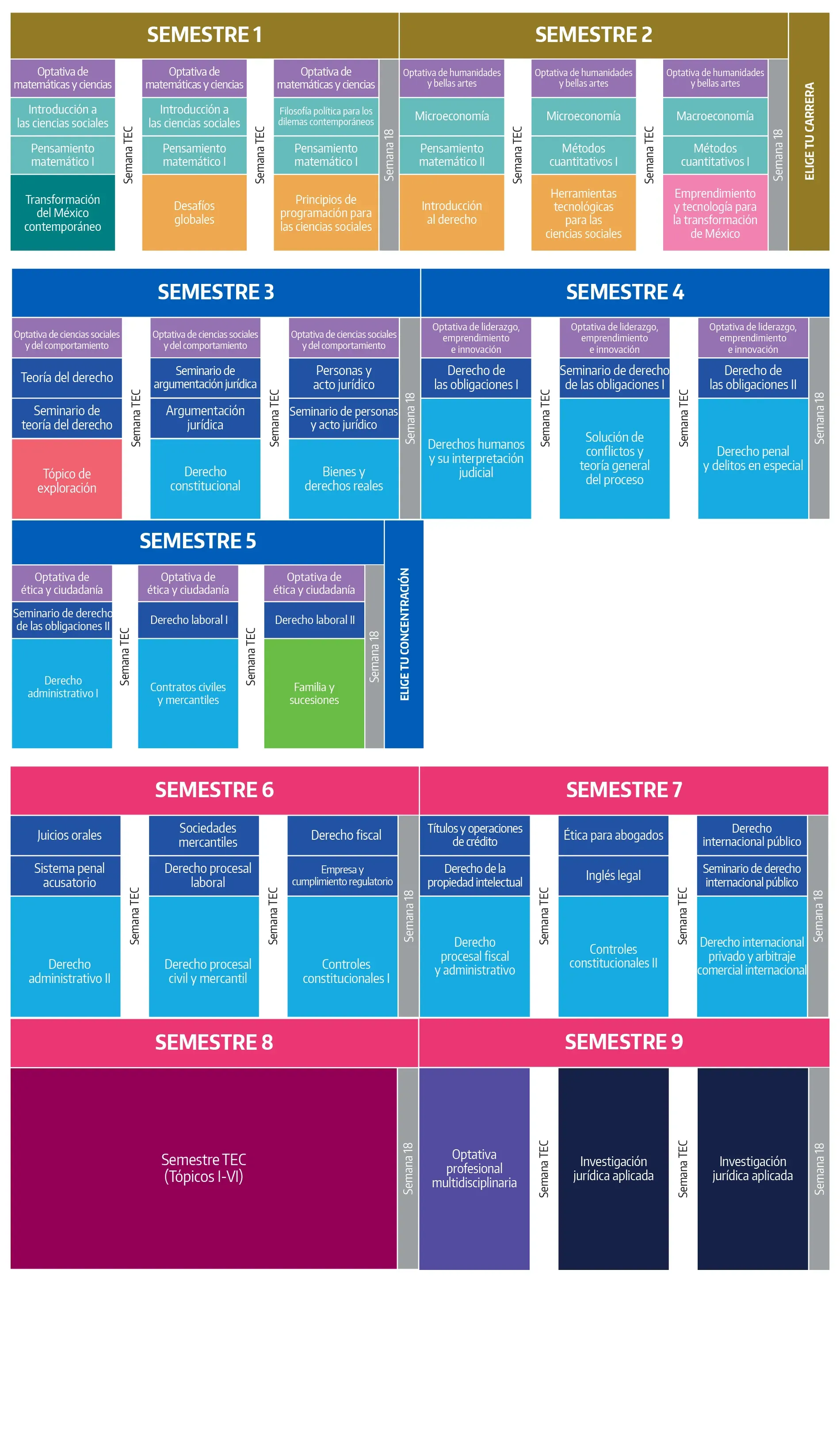 Plan de estudios LED