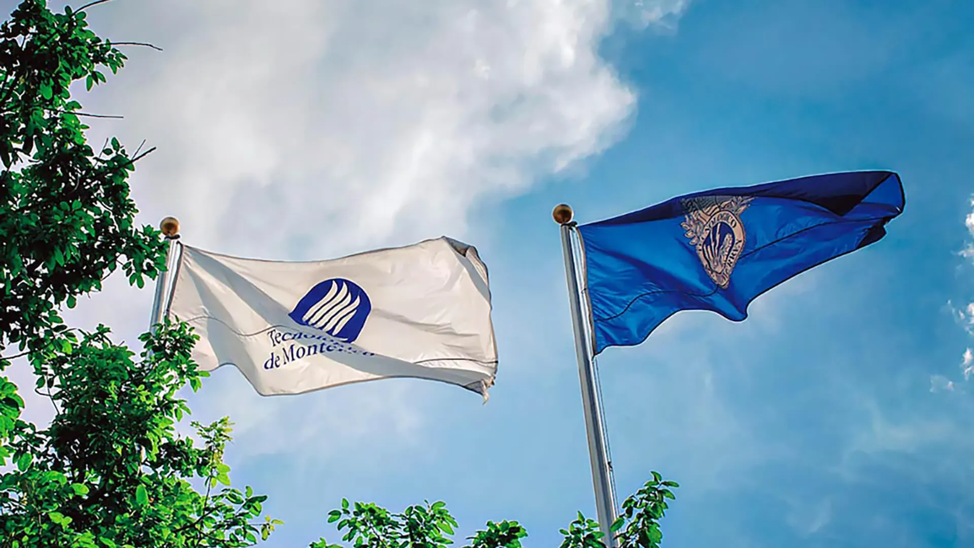 Banderas con logotipo del Tec de Monterrey