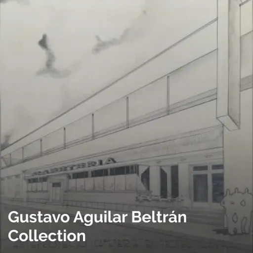 Gustavo Aguilar Beltrán Collection