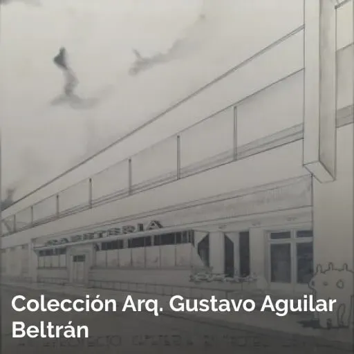 Colección Arq. Gustavo Aguilar Beltrán