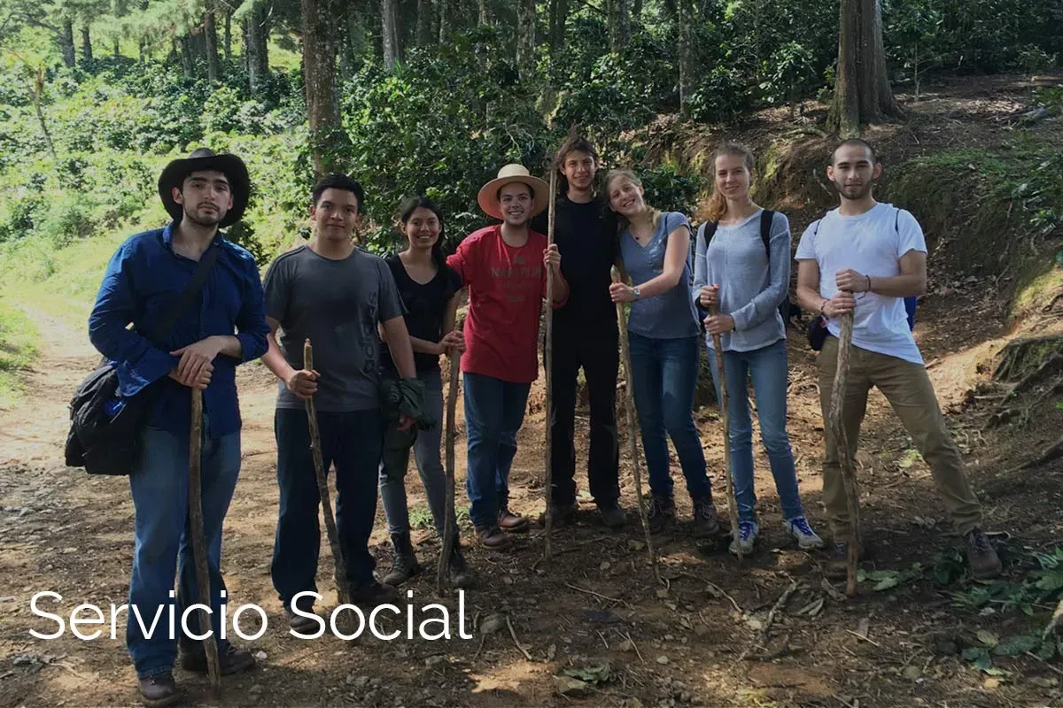 Servicio Social es un programa de impacto social del Tec de Monterrey